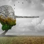 Nachhaltigkeit: Genug Greenwashing – was ist die Ursache aller Umweltprobleme?