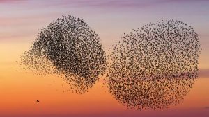 Achillesferse des Finanzsystems